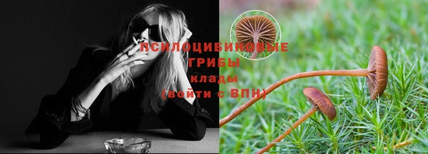 Альфа ПВП Богданович