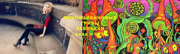 мдма Богородск