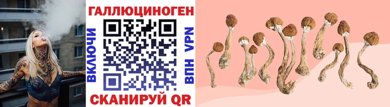 Псилоцибиновые грибы Psilocybe цена наркотик Вятские Поляны
