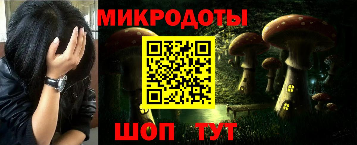 Галлюциногенные грибы Psilocybe  Вход с VPN  Галлюциногенные грибы GOLDEN TEACHER  Вятские Поляны 