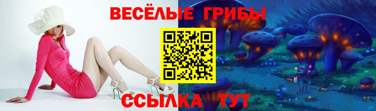 Псилоцибиновые грибы ЛСД Вятские Поляны